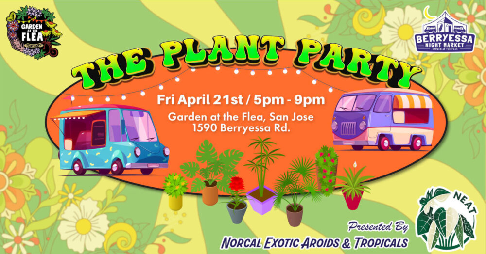 BNM: Plant Party (Presented by Norcal Exotics Aroids & Tropicals)